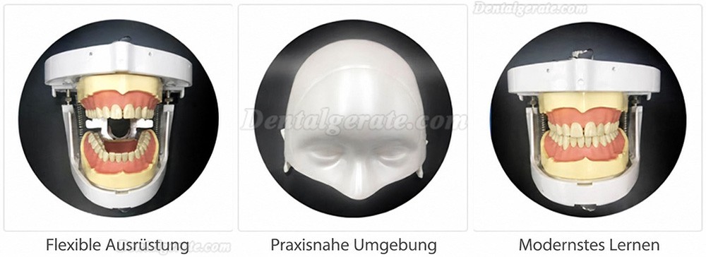 Jingle JG-A1 Phantomkopf Zahnmedizin-Patientensimulator Dentale Simulationseinheiten